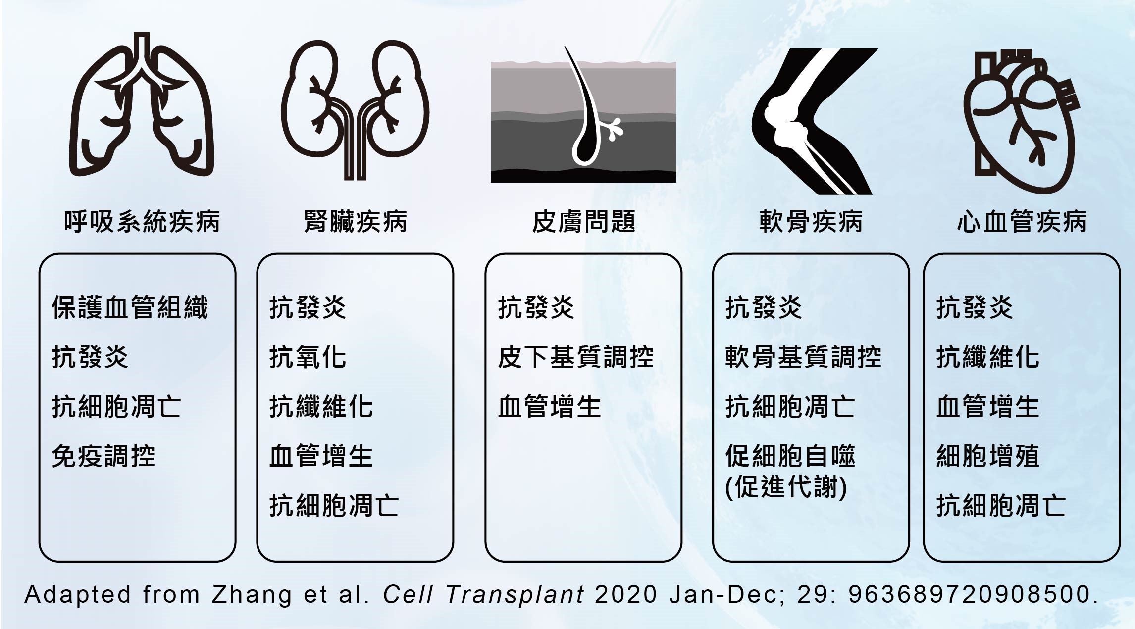 外泌體的應用