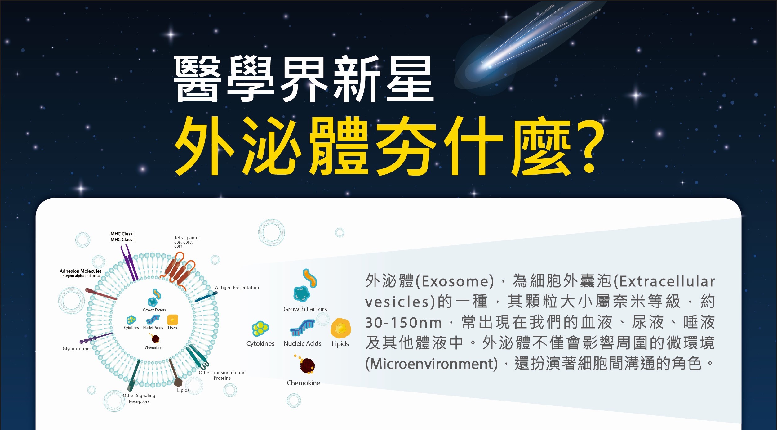 外泌體是什麼，外泌體成分