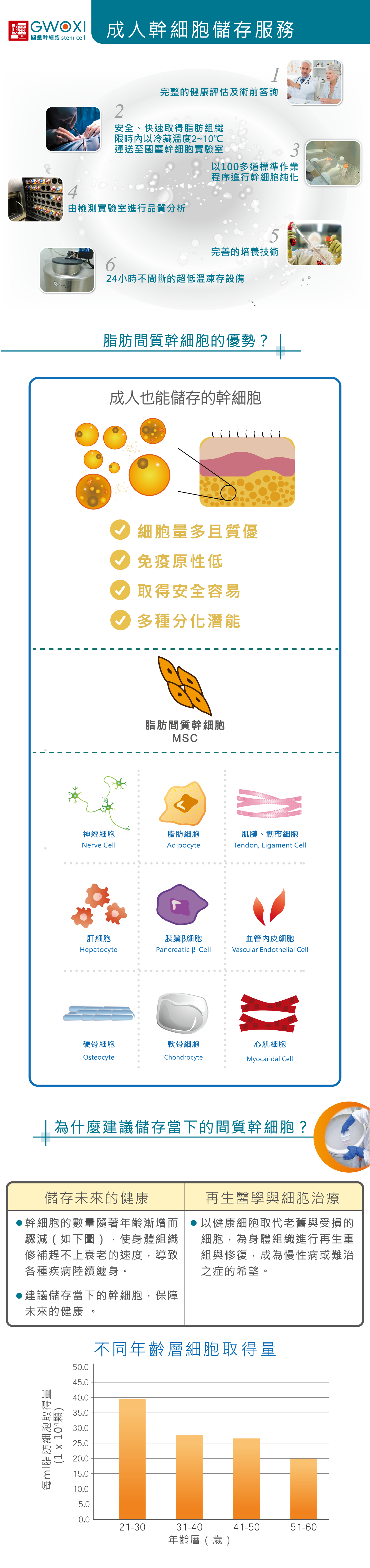 成人幹細胞儲存