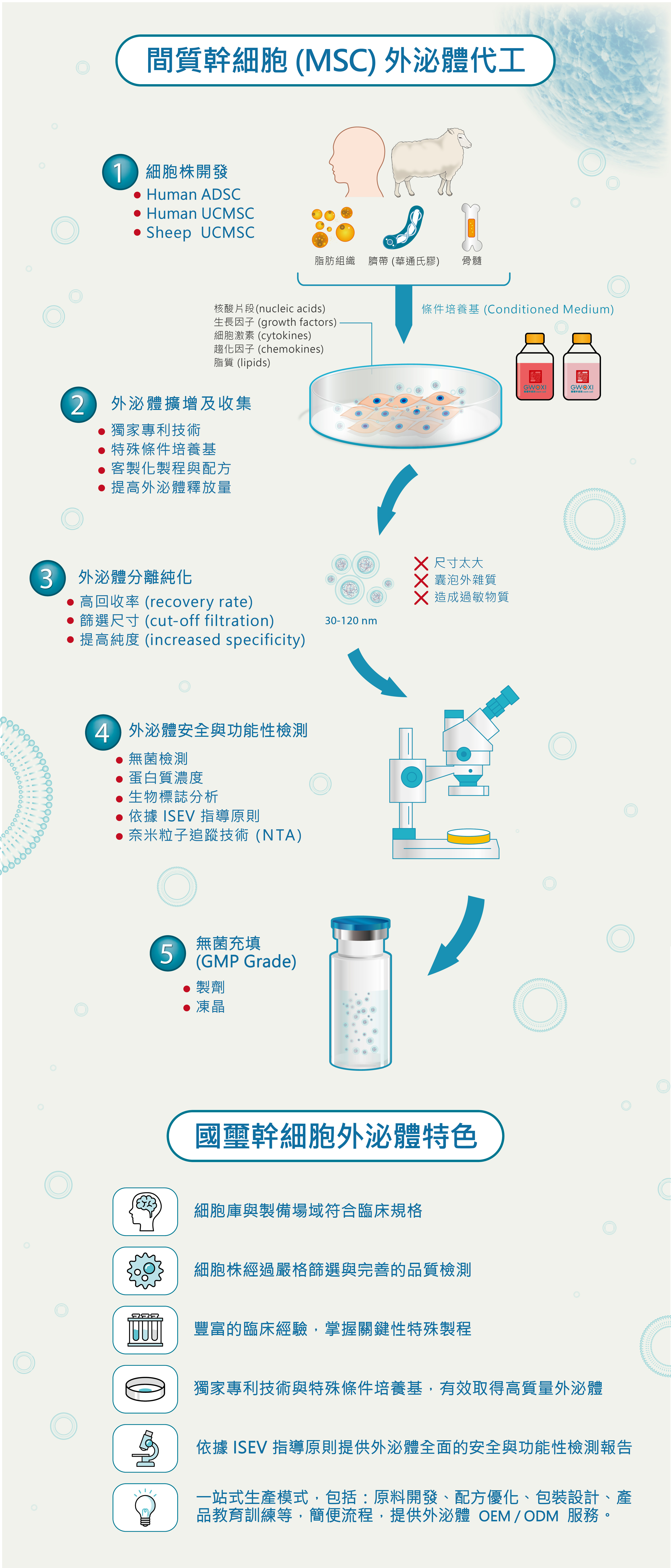 外泌體代工