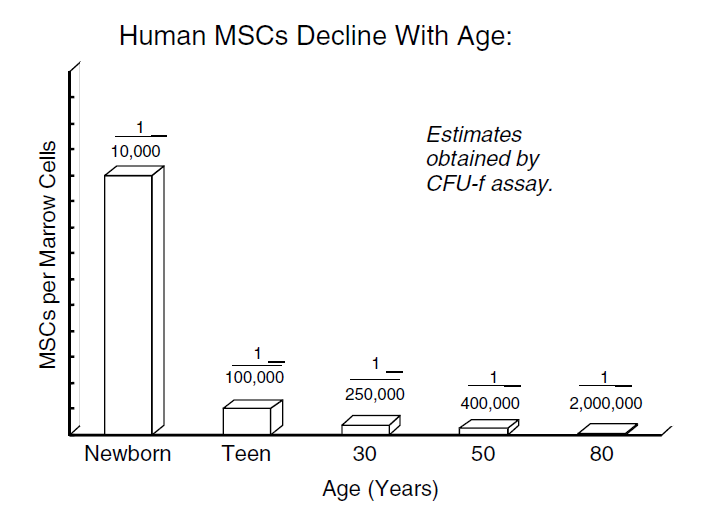 BMSC decline by ageing