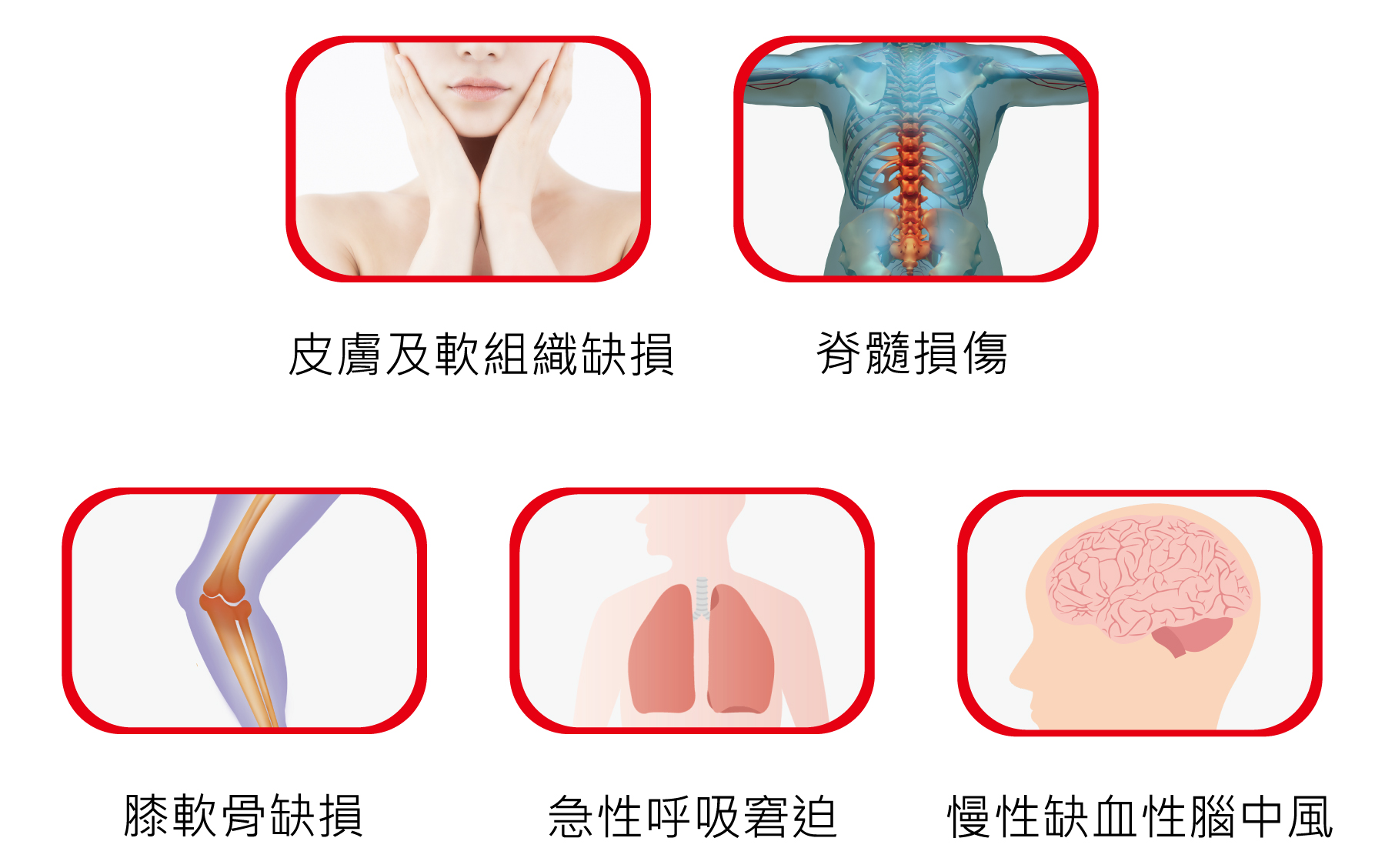國璽幹細胞特管辦法